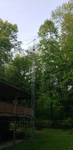 40' Rohn Tower/gizmotchy 3 Element Antenna/ Rotor And Control Box. Fixed Price $600.00.