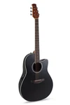Applause AB24 E-acoustic Guitar (various Colors/strings) Free Shipping!. Fixed Price $378.00.